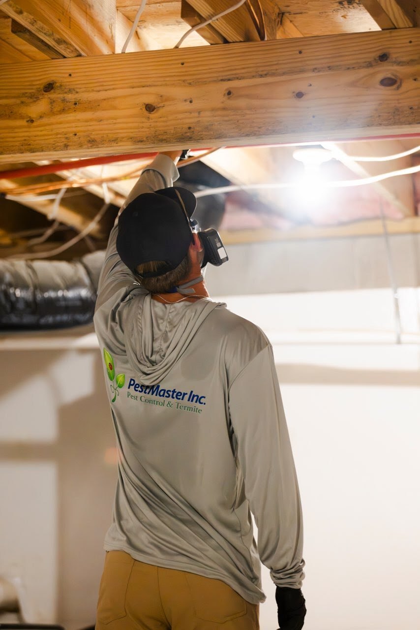 Termite Protection
